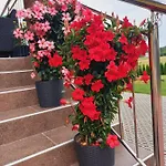 Фермерский дом Ojcowski *