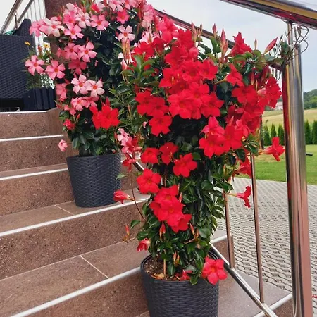 Séjour à la ferme Ojcowski *