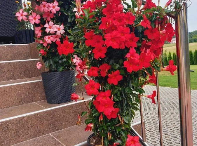 בית חווה Ojcowski *